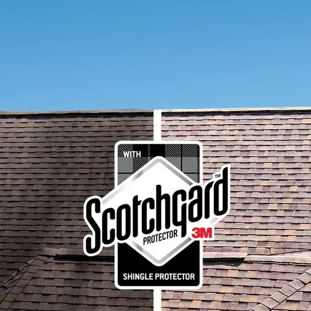 Atlas shingles with 3M Scotchgard